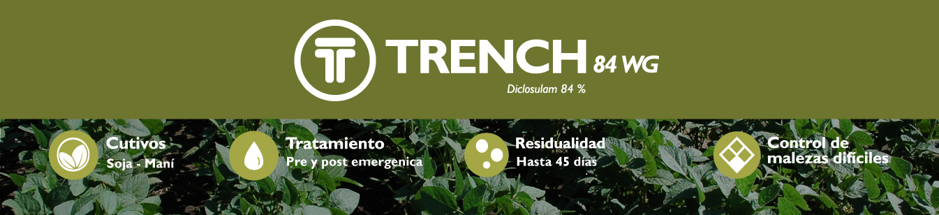 Trench